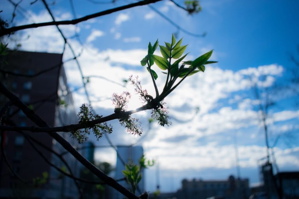 Photo Urban renewal