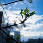 Photo Urban renewal