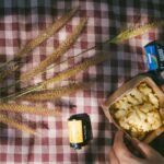 Photo picnic recipes